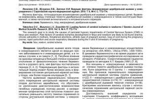 Факторы развития и стадии церебральной ишемии