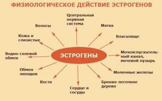 Эффективные методы терапии эндометриоза для женщин после 50 лет