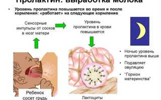 Анализ на пролактин: как сдавать кровь женщинам