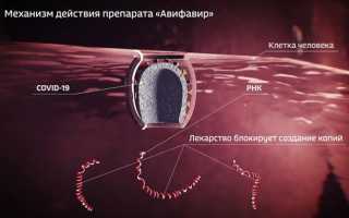 Авифавир: эффективный препарат против коронавируса