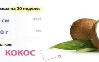 20 неделя беременности: что происходит с мамой и развитие плода (рост, вес, размер)