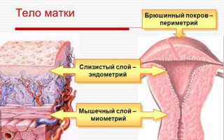 Признаки острого и хронического метроэндометрита: подбор терапии