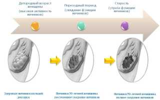 Какой детородный возраст у женщины
