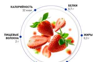 Клубника – свойства самой сексапильной ягоды