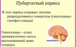 Повышенный и пониженный глобулин, связывающий половые гормоны