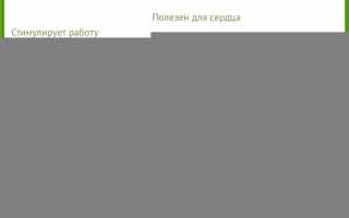 Сельдерей: полезные свойства и противопоказания листьев и корня растения