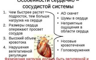 Причины, по которым у новорожденного возникает шум в сердце