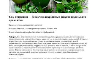 Петрушка в народной медицине: лучшие рецепты самых полезных средств