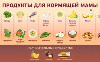 Питание кормящей мамы: что можно и нельзя есть на ГВ