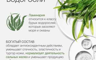 В чём сила «морского женьшеня», или от чего поможет ламинария?