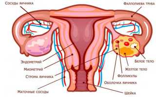 Проходимость маточных труб — как называется процедура
