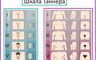 Период полового развития мальчиков и девочек: этапы созревания