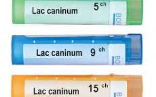Лак Канинум (Lac caninum) в гомеопатии
