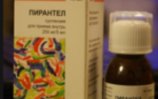 Пирантел для профилактики: как принимать взрослым