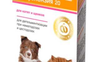Дирофен от глистов для кошек и собак: инструкция по применению, цена, аналоги