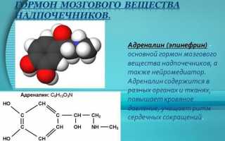 Какие гормоны вырабатывают надпочечники: действие на организм