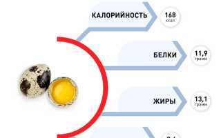 Перепелиные яйца: максимум пользы в минимальном объеме