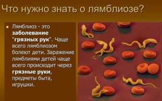 Почему появляется сыпь при лямблиозе