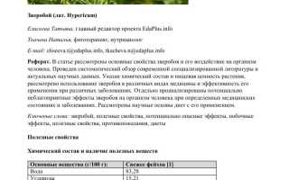 Зверобой для волос – полезные свойства, рецепты, отзывы