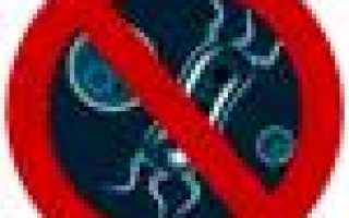 Сенная палочка: описание бактерии, питание, значение для человека и растений